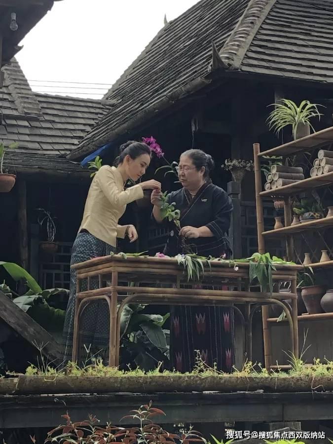 永清：无土水培种植技术促进农业提质增效