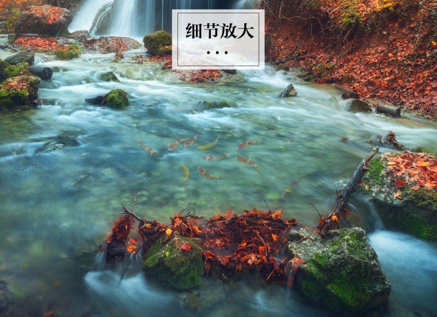 你们有哪些遗憾的友谊?-专业问答网站